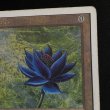 画像6: 【EN】《Black Lotus》[2ED] 状態HP (6)