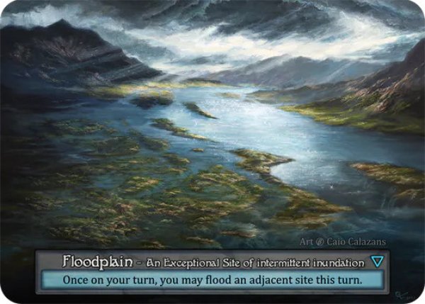 画像1: 【Site】Floodplain【Beta-Exceptional】Regular (1)