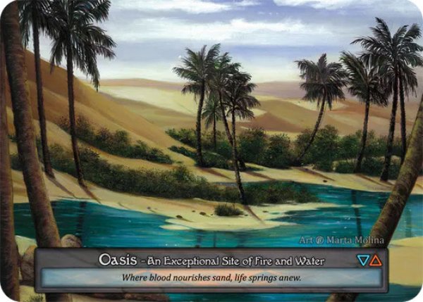 画像1: 【Site】Oasis【Beta-Exceptional】Regular (1)