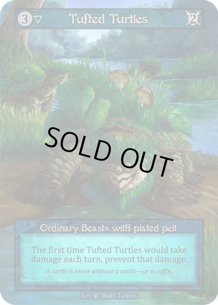 画像1: 【Water】Tufted Turtles【Beta-Ordinary】Regular (1)